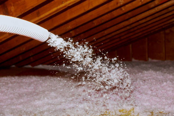 Best Energy Efficiency Solutions in Kingsville, TX
